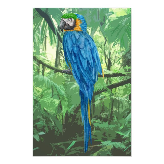 Hyacinth Macaw Design Photo Enlargement (Front)