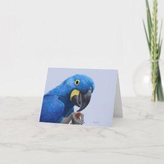 Hyacinth Macaw Encouragement JW Thank You Card