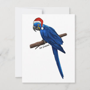 Hyacinth macaw - holiday card