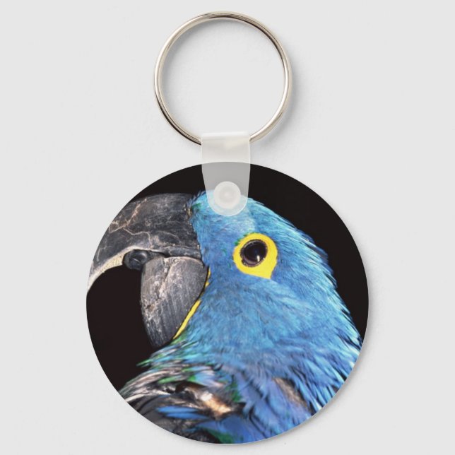 Hyacinth Macaw Key Ring (Front)