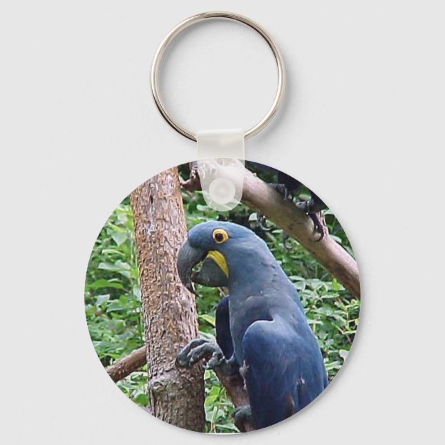 Hyacinth Macaw Key Ring (Front)