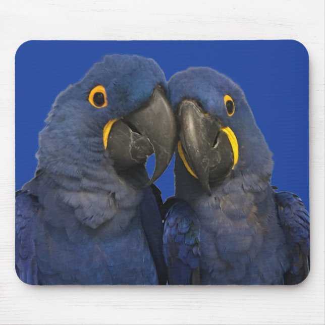 Hyacinth Macaw Parrot Bird Rare Blue Mouse Pad (Front)