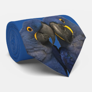 Hyacinth Macaw Parrot Bird Rare Blue Tie