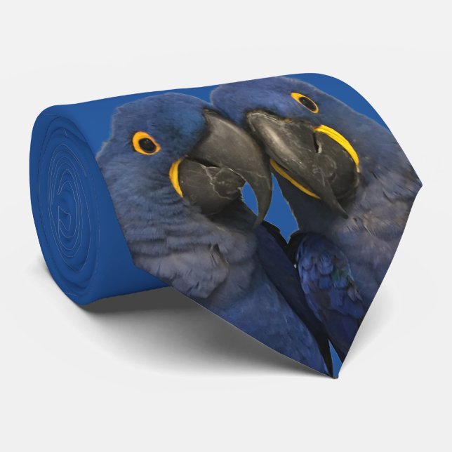 Hyacinth Macaw Parrot Bird Rare Blue Tie (Rolled)