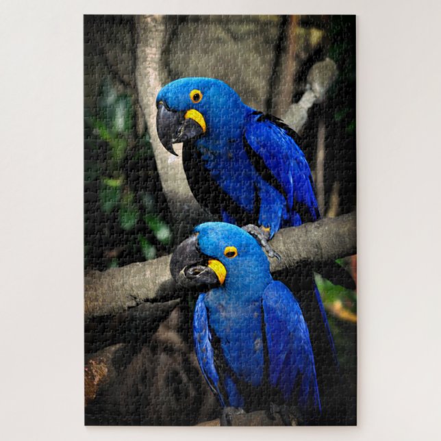Hyacinth Macaws Anodorhynchus Jigsaw Puzzle (Vertical)