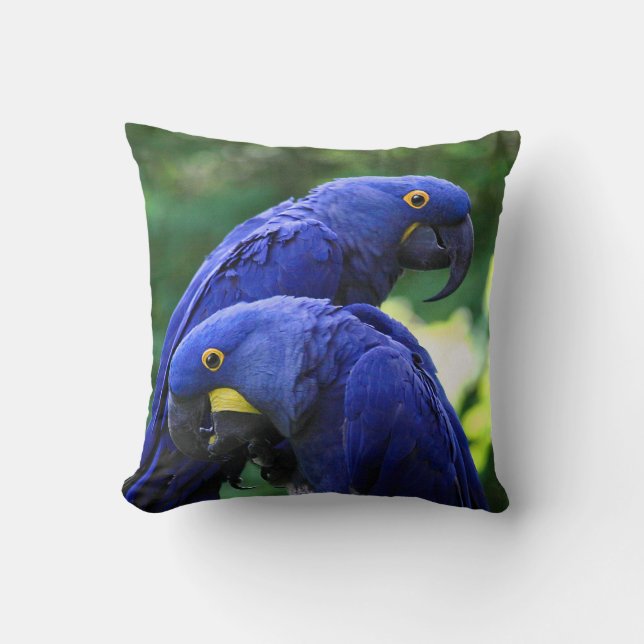 Hyacinth Macaws Cushion (Front)