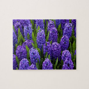 Hyacinth Violet Wildflowers Jigsaw Puzzle