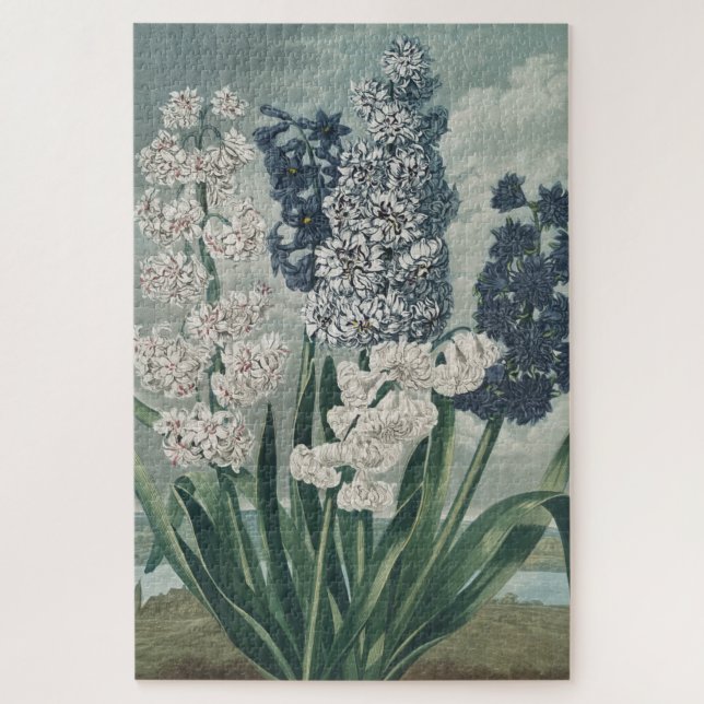 Hyacinths (1807) – Exquisite Vintage Botanical  Jigsaw Puzzle (Vertical)