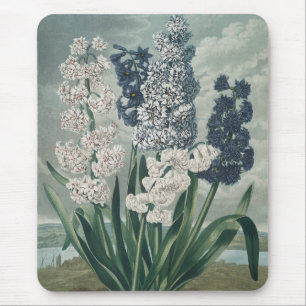 Hyacinths (1807) – Exquisite Vintage Botanical Mouse Pad