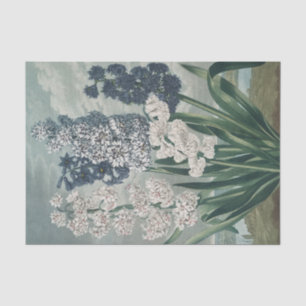 Hyacinths (1807) – Exquisite Vintage Botanical Tissue Paper