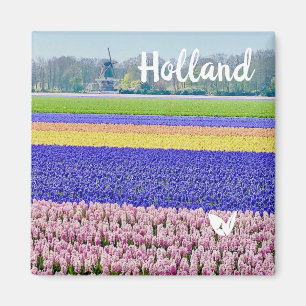 Hyacinths in Holland - magnet by Velvet Escape