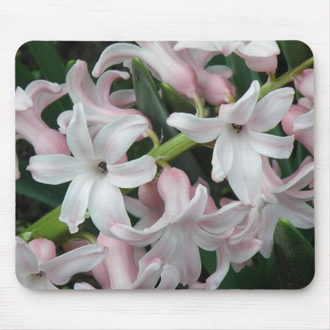 Hyacinths Mousepad (Front)