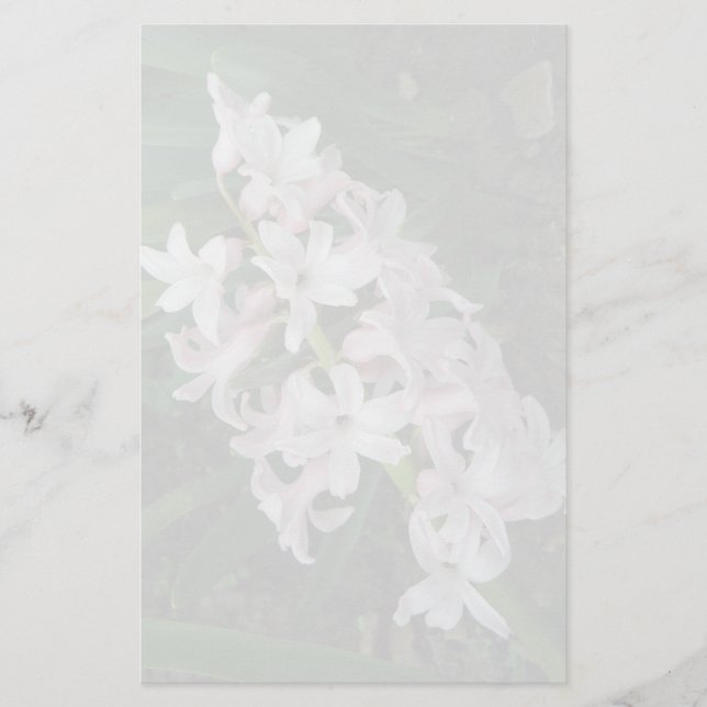 Hyacinths Stationery (Front)
