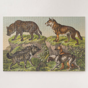 Hyaena (Hyena), Wolf and Dog Jigsaw Puzzle