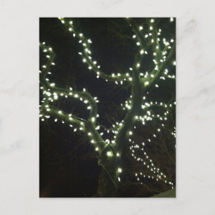 Hyannis Lights Postcard