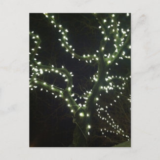 Hyannis Lights Postcard