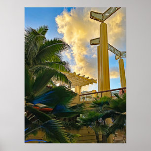 Hyatt Waikiki Poster