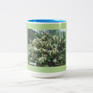 Hybrid Honeysuckle Blooms Two-Tone Coffee Mug