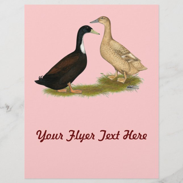 Hybrid Laying Duck Flyer (Front)