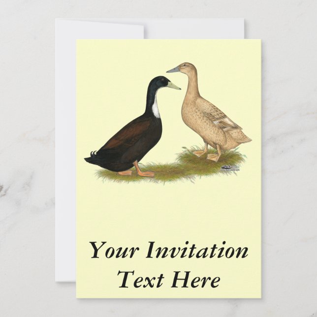Hybrid Laying Duck Invitation (Front)