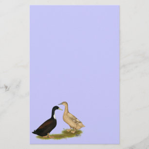 Hybrid Laying Duck Stationery