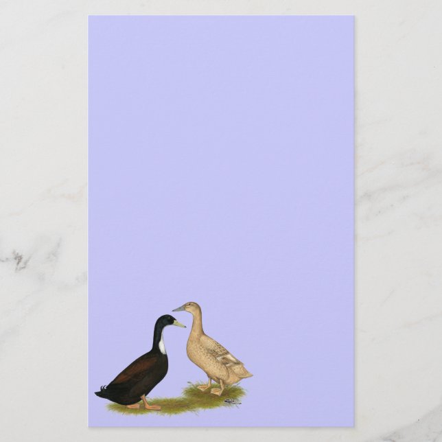 Hybrid Laying Duck Stationery (Front)