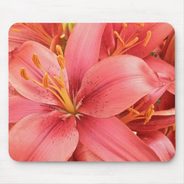 Hybrid Lilies Coordinating Items Mouse Pad (Front)