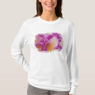 Hybrid orchid close-up, Delray Beach, Florida T-Shirt