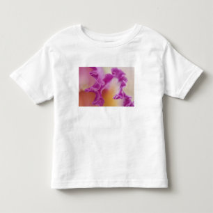 Hybrid orchid close-up, Delray Beach, Florida Toddler T-Shirt