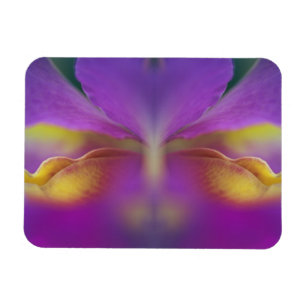 Hybrid orchid, Florida 2 Magnet