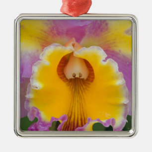 Hybrid orchid, Florida Metal Ornament