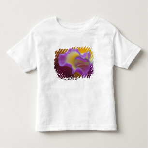 Hybrid orchid, Florida Toddler T-Shirt
