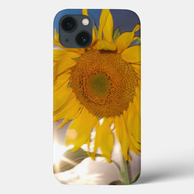 Hybrid sunflower blowing in the wind at dusk Case-Mate iPhone case (Back)