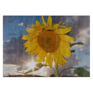 Hybrid sunflower blowing in the wind at dusk cutting board