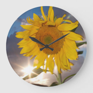 Hybrid sunflower blowing in the wind at dusk large clock