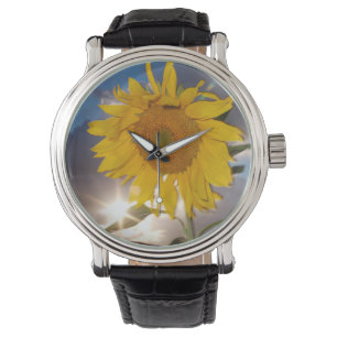 Hybrid sunflower blowing in the wind at dusk watch