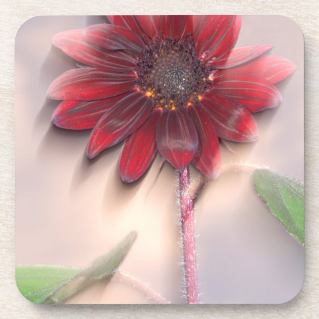 Hybrid sunflower blowing in the wind coaster (Front)
