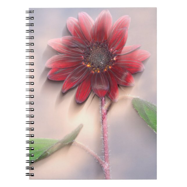 Hybrid sunflower blowing in the wind notebook (Front)