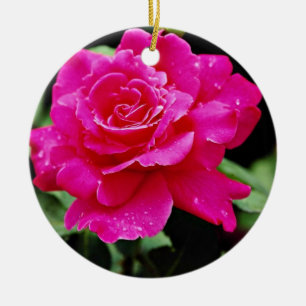 Hybrid Tea Rose 'Pink Peace' White flowers Ceramic Ornament