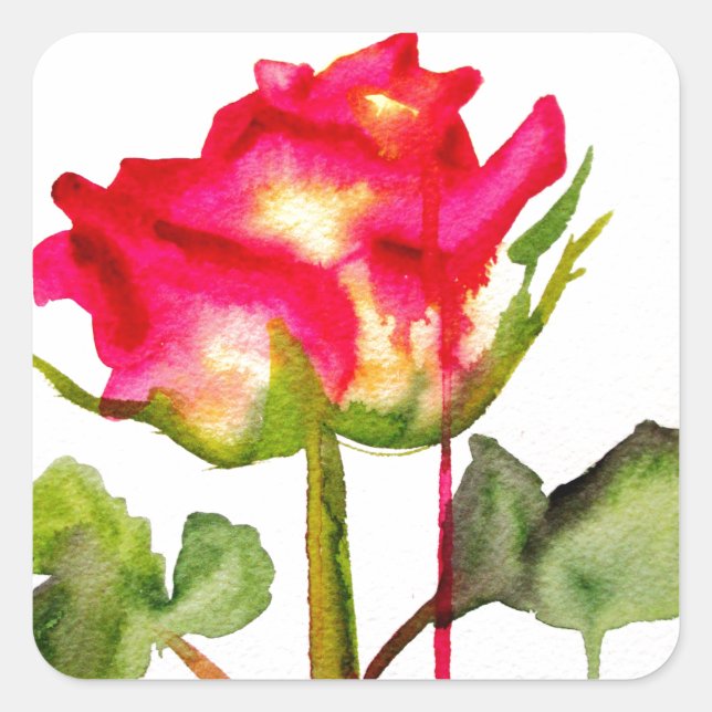 Hybrid Tea Rose watercolor modern flower art Square Sticker (Front)