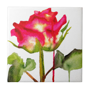 Hybrid Tea Rose watercolor modern flower art Tile