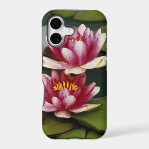 Hybrid water lilies