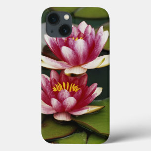 Hybrid water lilies iPhone 13 case