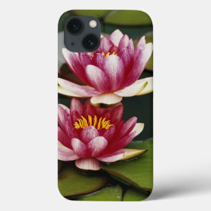 Hybrid water lilies iPhone 13 case