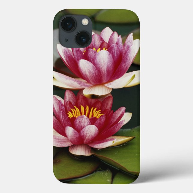 Hybrid water lilies Case-Mate iPhone case (Back)