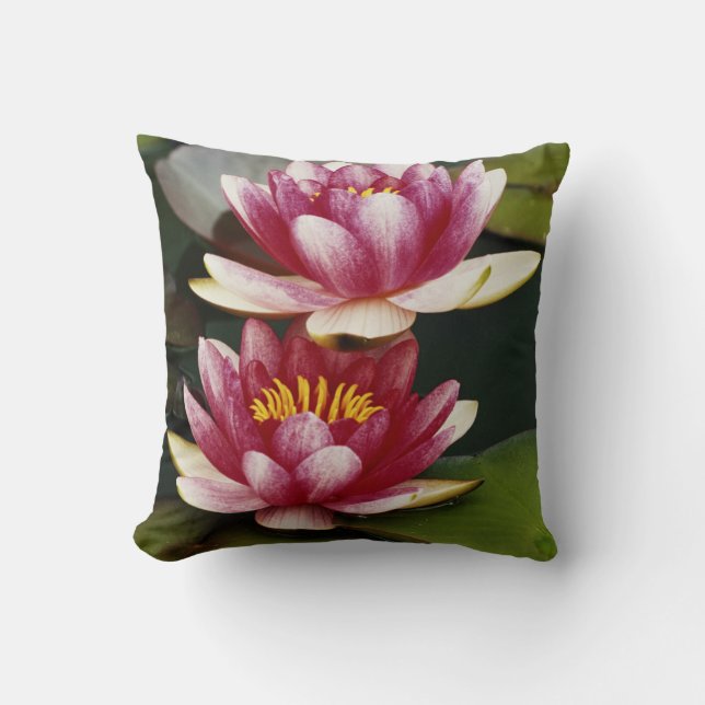 Hybrid water lilies cushion (Front)