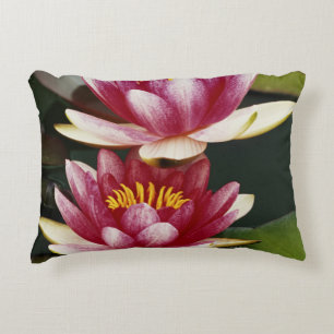 Hybrid water lilies decorative cushion