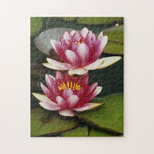 Hybrid water lilies jigsaw puzzle
