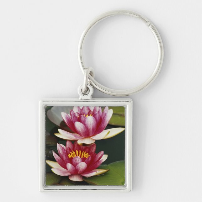 Hybrid water lilies key ring (Front)