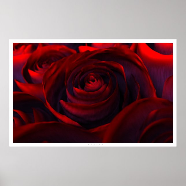 Hybrid (wide) poster (Front)